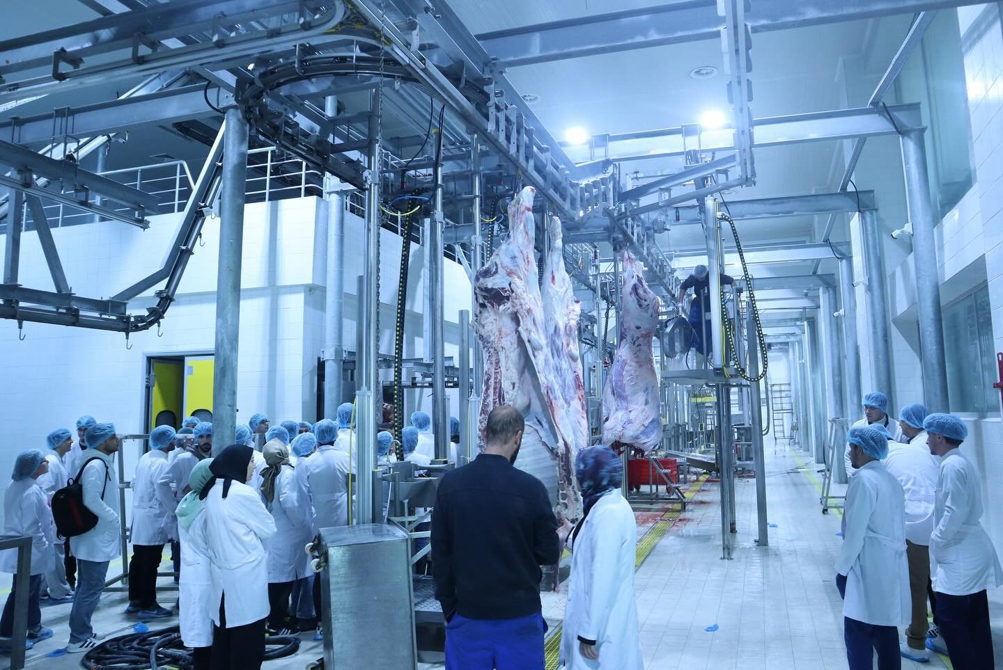 Bozzo Et Entegre Tesisleri